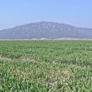 장흥목장 이미지