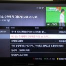 미얀마전 중계 JTBC3 생중계 아니였나요? 이미지