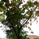 부천시청역 이미지