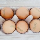 엠엔바이오 이미지