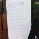 도그런 | 서울 근교 애견카페 추천 , 조용하고 쾌적해서 좋아!