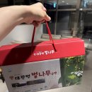 대관령 | 부모님선물엔, 대관령벌나무농장 대관령 벌나무즙 구매 후기
