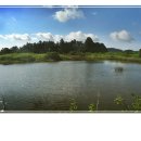 수산리-8 이미지