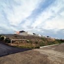 보라펫 | 포항여행 호미곶 애견동반숙소 오션뷰 풀빌라 풀글램핑&amp;펫글램핑 힐링 후기