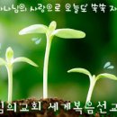 닮은사람들 이미지