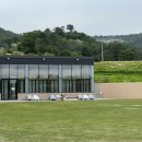 개들랜드 이미지