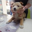 비슬로361길 이미지