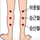 종아리 맛사지 이미지