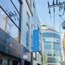 춘천 고양이집 이미지