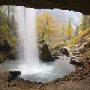 물처럼 바람처럼 이미지