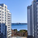 중앙사우나 | 르컬렉티브 속초중앙 패밀리 와이드 투룸 / 치유인 사우나 후기