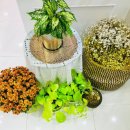 햇살이 가득한 집 펜션 이미지