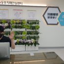 동부치매안심센터 이미지