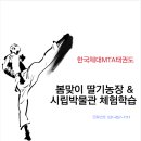 한국체대 봄 태권도장 이미지