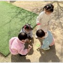 수어린이집 이미지