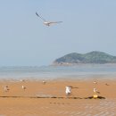 쉐마영어학원 | 1년 2개월 쉐마학당 다닌 아이들의 변화