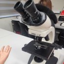 [우리들교실] 사진과 함께하는 세계여행 | 강원도 아이와 가볼만한 곳 과학체험 추천｜강릉 해양과학교육캠프 후기 (가리비 해부까지)