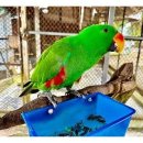 낙원파크 이미지