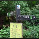 선본사 - 1782 | 선본사