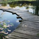 푸른자연 이미지