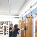 마린킹콩 복싱아카데미 이미지