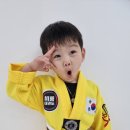 태권도/무술학원 이미지