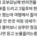 퍼즐클라이밍