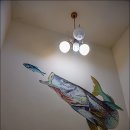 (주)청룡자원 Daum카페
