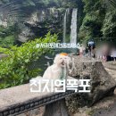천지연 폭포 | 서귀포애견동반명소 천지연폭포 애견동반후기