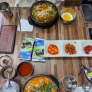 광주 신용동 첨단2지구점 [풍남옥] 한우곱창내장국밥+개운한 맛 콩나물국밥 점심메뉴 후기 내돈내산