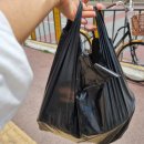 소문난꼬마김밥 용죽점 이미지