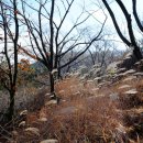 대발령 2쉼터 이미지