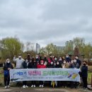 도시의 문 이미지