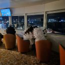 부산항 | 부산 팬스타 그레이스호 불꽃 크루즈 탑승 후기 (부산항 야경·선상 라이브 공연·불꽃 쇼)