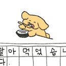 꼬르륵댕댕 네이버블로그