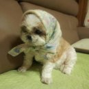(주)정다 이미지