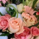 보나르떼 (BON ARTE) 디자인