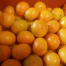 제주남원농협사업소 이미지