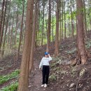 축령산 치유의 숲 안내센터 | 축령산 난이도 전남 장성 축령산 주차장 등산코스 자연휴양림 최단코스