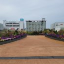 등나무문화공원 이미지