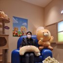 키쉬미뇽 이미지