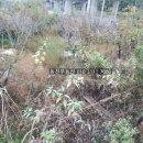 창원명지여자고등학교 이미지