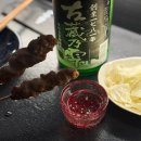 쿠시쿠로 | 신논현 분위기 좋은 2만원대 야키토리 오마카세 쿠시쿠로 내돈내산 후기