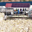 박지호농장 이미지