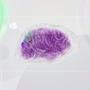 리워드R&D 이미지