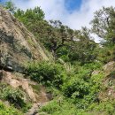 성흥산 솔바람길 이미지