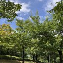 괴안체육공원 이미지