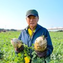 고향자녀농장 이미지