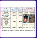 6955 | 묵호 도째비골 스카이밸리 자전거 슬라이드 가격과 체험 후기