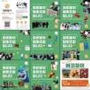 청춘발아 여정 속, 오정동 농수산물 도매시장을 담다.